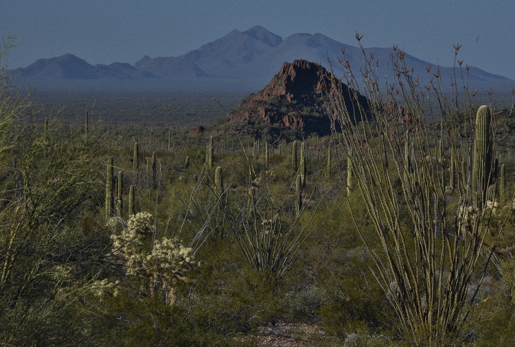 landscape